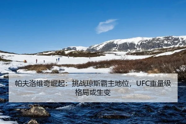 帕夫洛维奇崛起：挑战琼斯霸主地位，UFC重量级格局或生变